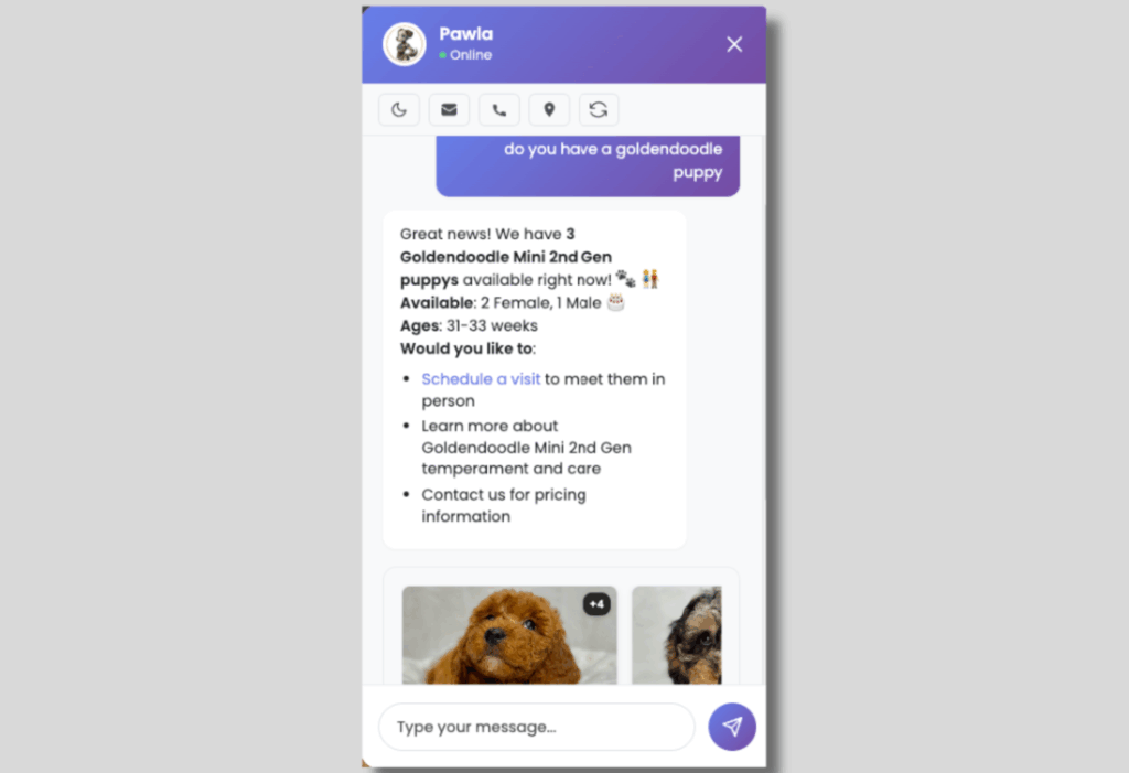 Smart AI chatbot Pawla replying to a customer’s message with personalized, on-brand information.
