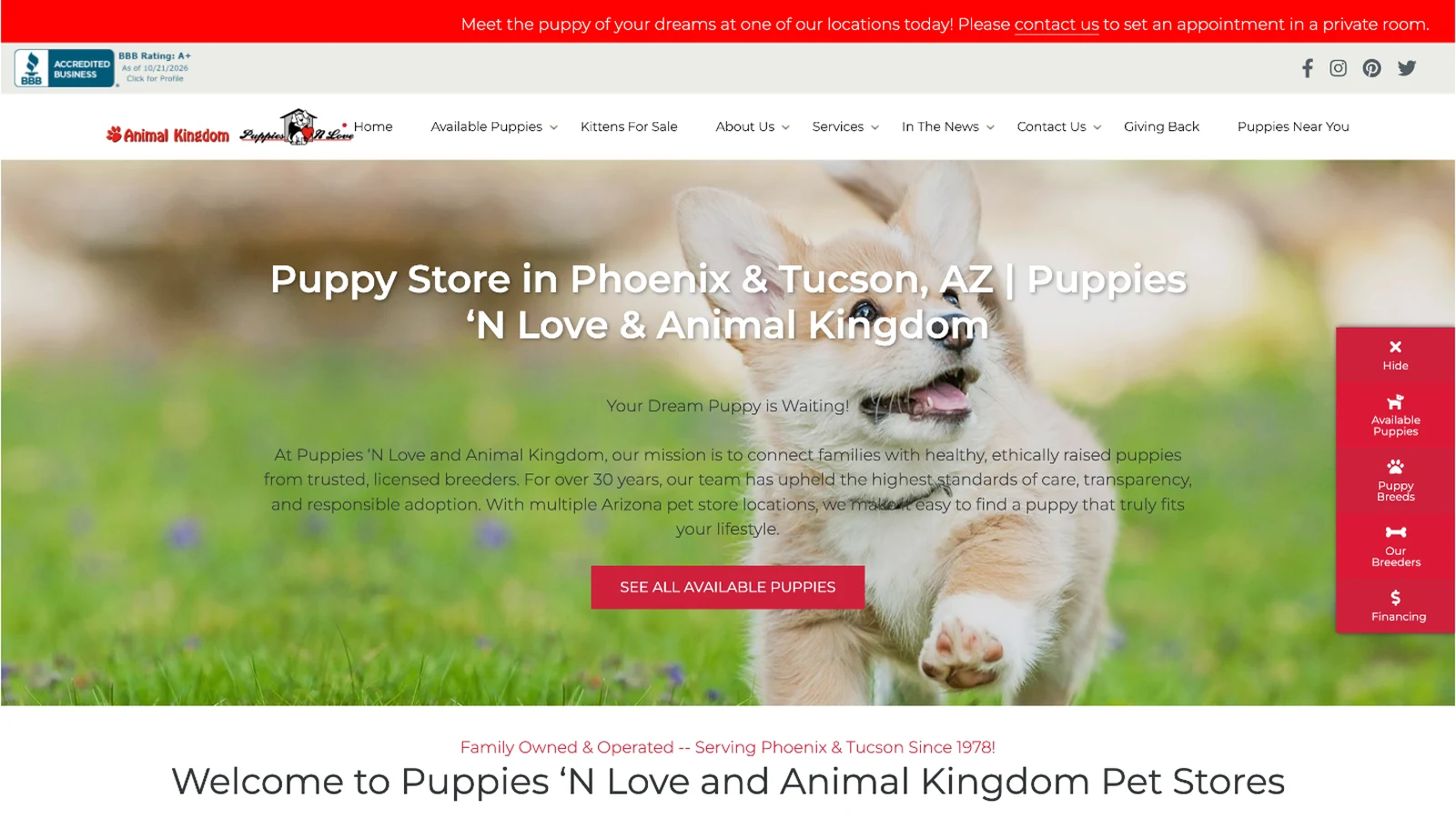 animal-kingdom-az website homepage on desktop