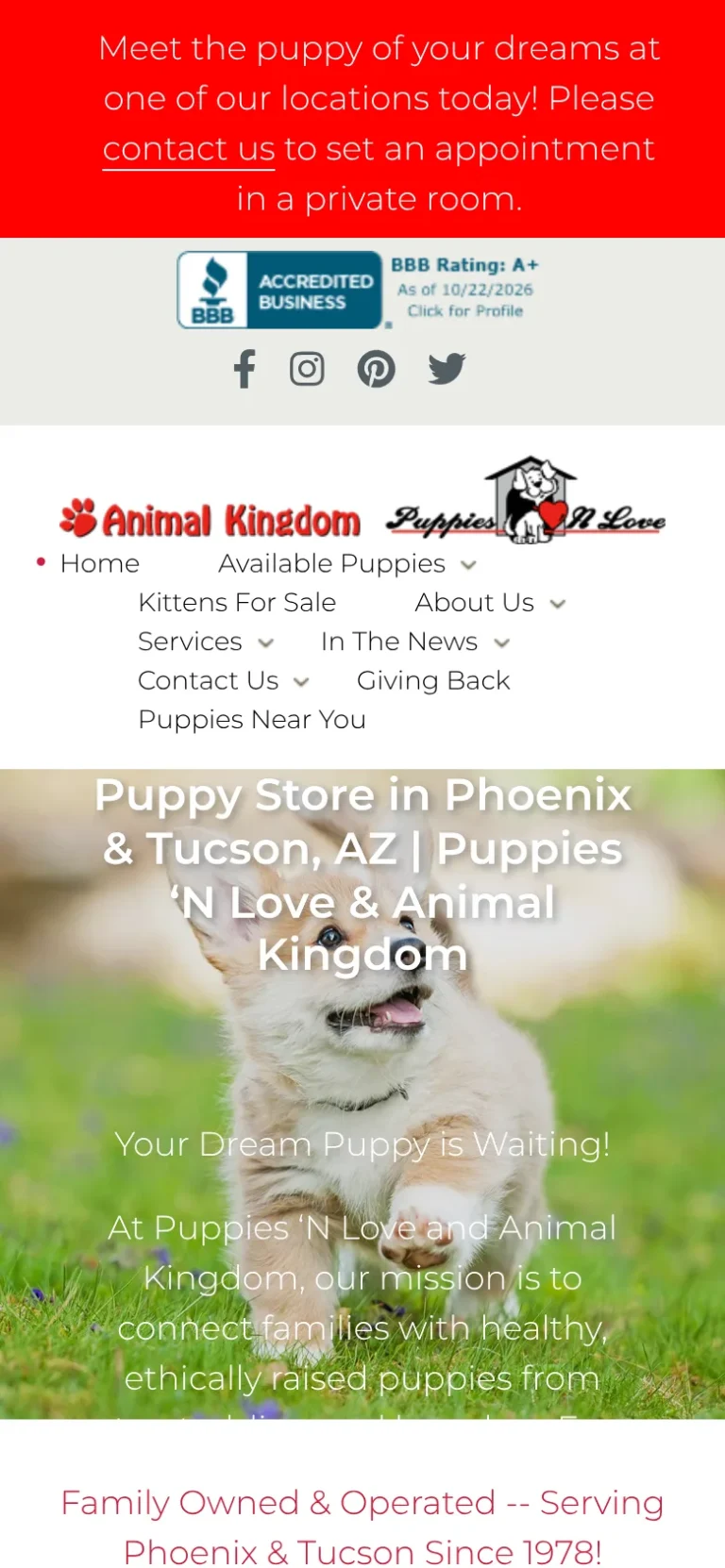 Animal Kingdom website shown on a phone