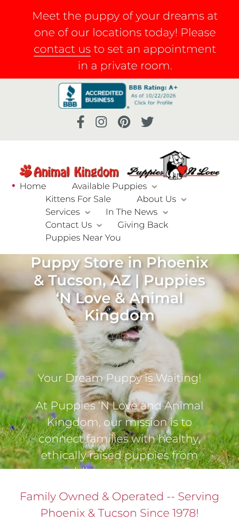 Puppies 'N Love and Animal Kingdom website homepage on a phone