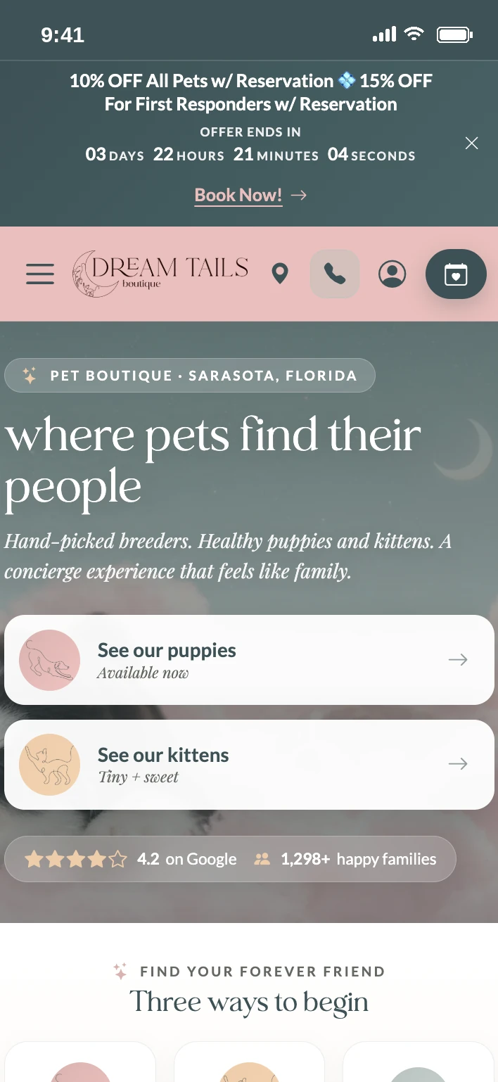 Dream Tails Sarasota website shown on a phone
