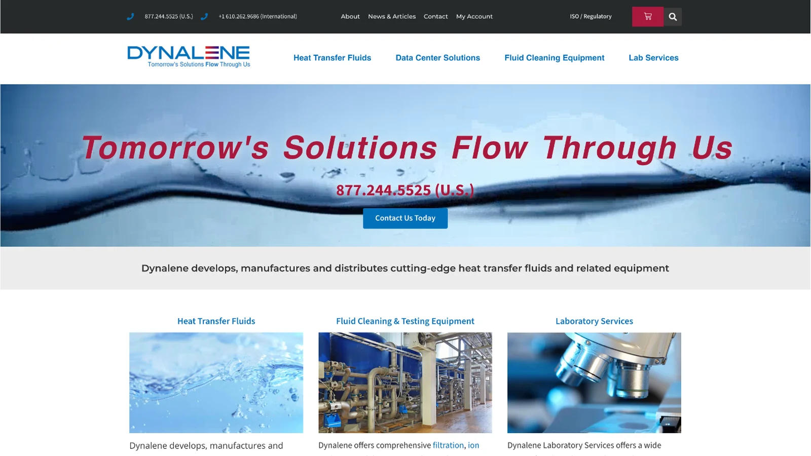 Dynalene website homepage on desktop