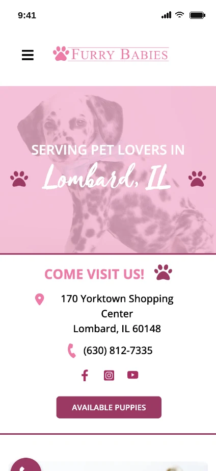Furry Babies Lombard website shown on a phone