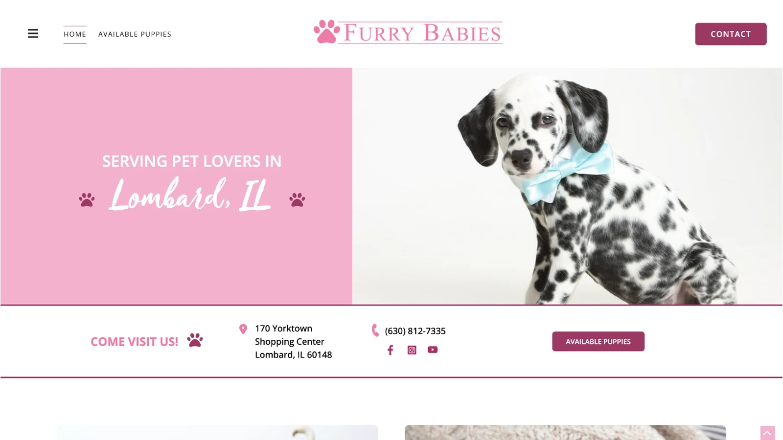 furry-babies-lombard website homepage on desktop