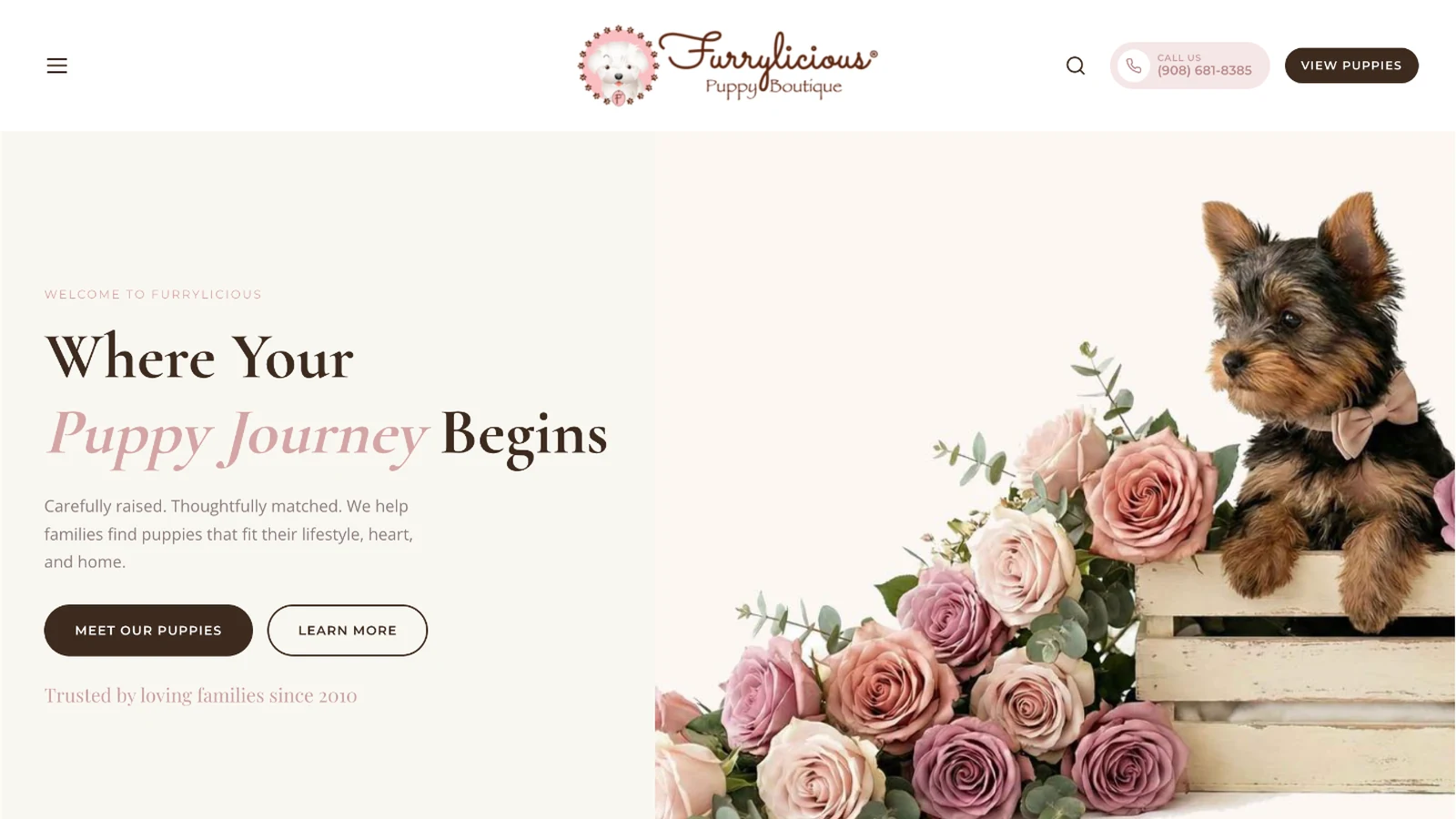 Furrylicious website homepage on desktop