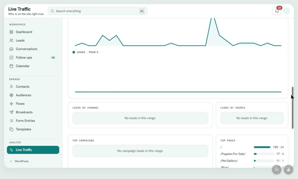 LeadFlow Live Traffic: Trends and Leads by Channel